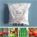 Plant growth regulator ibak 98tc with factory price.